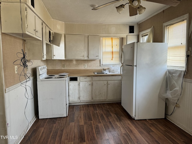 kitchen with ceiling fan, white appliances, dark hardwood / wood-style floors, and sink