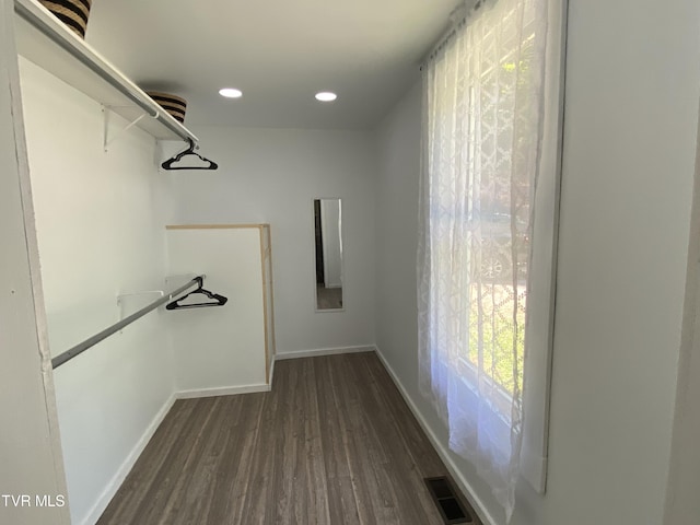 walk in closet featuring dark hardwood / wood-style floors