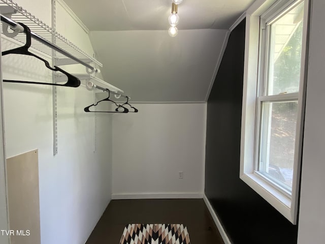 spacious closet with lofted ceiling