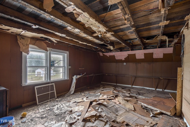 miscellaneous room with lofted ceiling