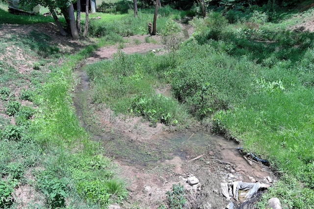 view of landscape