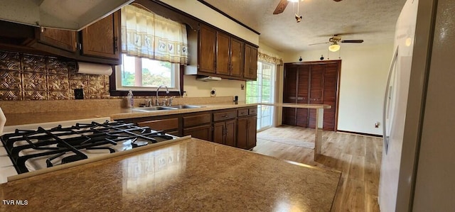 kitchen with sink, plenty of natural light, fridge, and light hardwood / wood-style floors