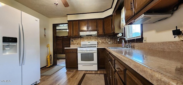 kitchen with tasteful backsplash, sink, light wood-type flooring, dark brown cabinets, and white appliances