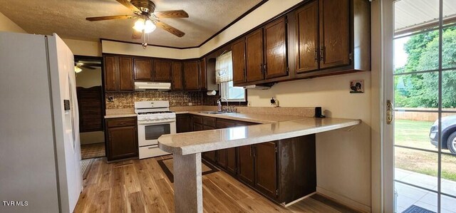 kitchen with dark brown cabinetry, sink, white appliances, and light wood-type flooring