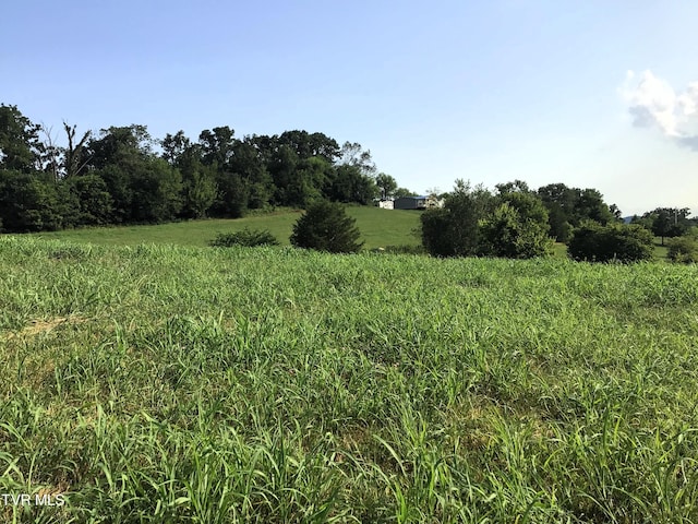 LOTS11-14 107 Cutoff, Greeneville, TN 37743