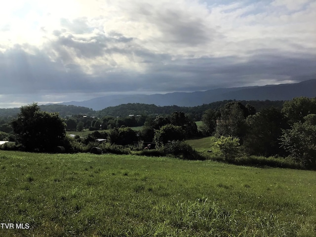 LOTS11-14 107 Cutoff, Greeneville, TN 37743