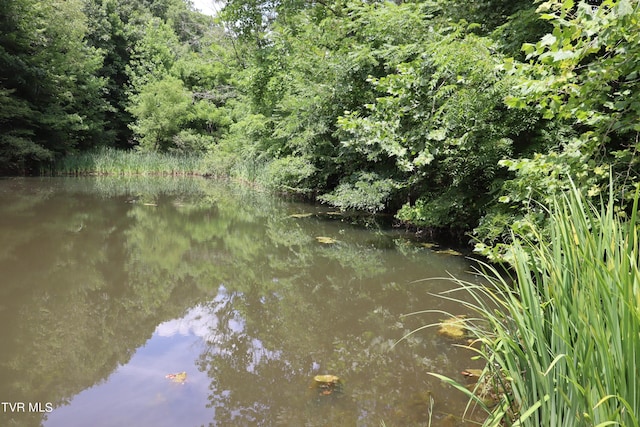 view of landscape featuring a water view