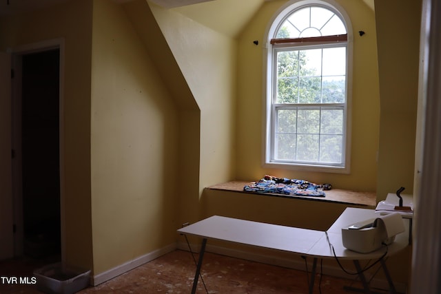 interior space featuring vaulted ceiling