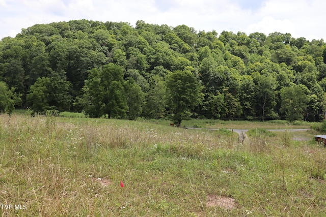 view of local wilderness