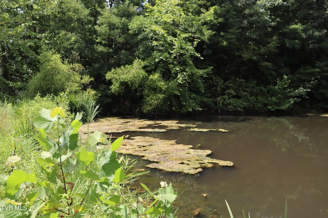 view of local wilderness