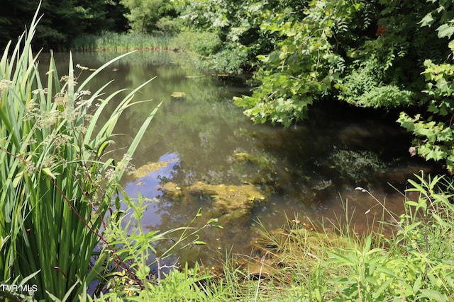 view of nature with a water view