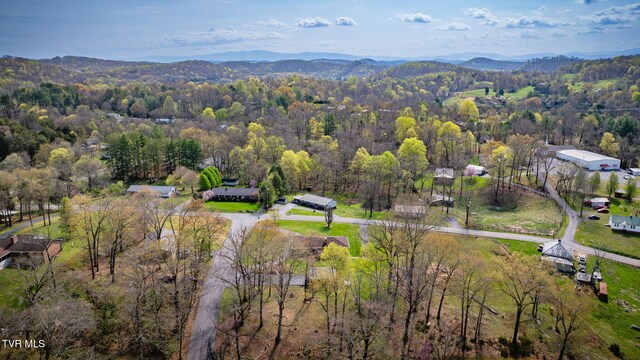 414 Beulah Church Dr, Kingsport, TN 37663 - bird's eye view with a mountain view and a view of trees