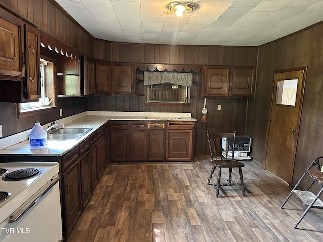 kitchen with dark wood-type flooring, dark brown cabinetry, sink, and wood walls