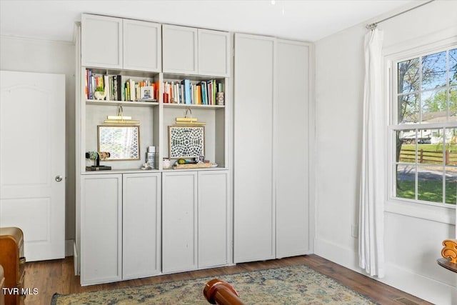 interior space with wood finished floors