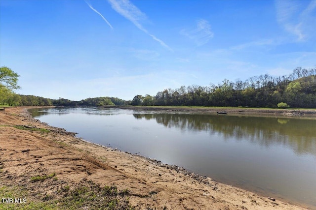 property view of water featuring a view of trees