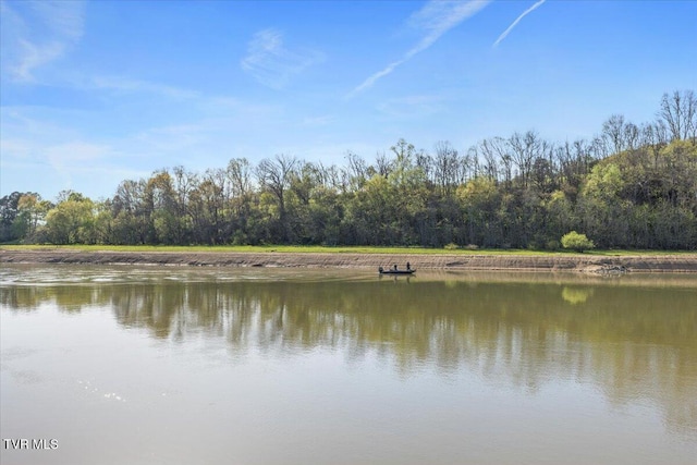 property view of water with a view of trees