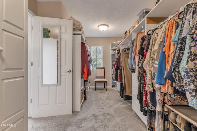 spacious closet with light colored carpet