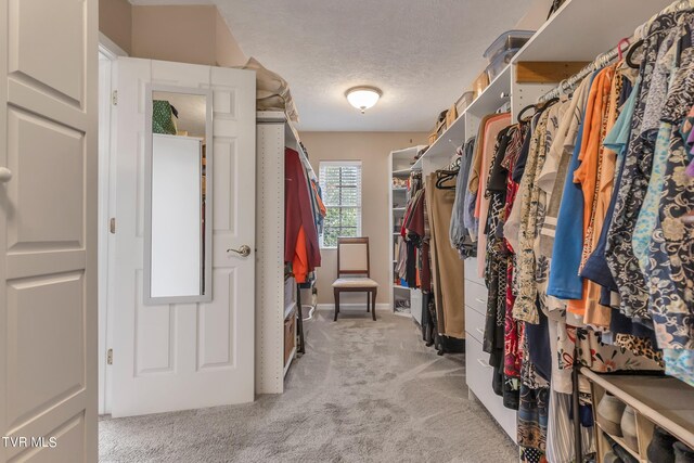 spacious closet featuring light carpet