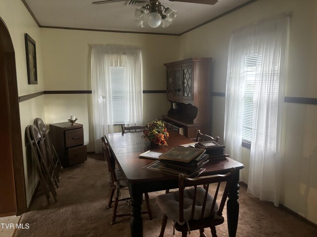 carpeted dining space with ornamental molding and ceiling fan