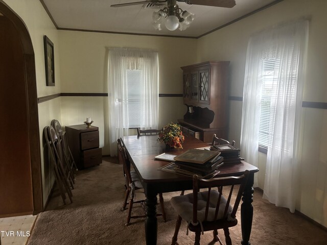 dining area featuring ornamental molding, ceiling fan, and carpet flooring