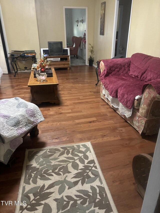 living room with wood-type flooring