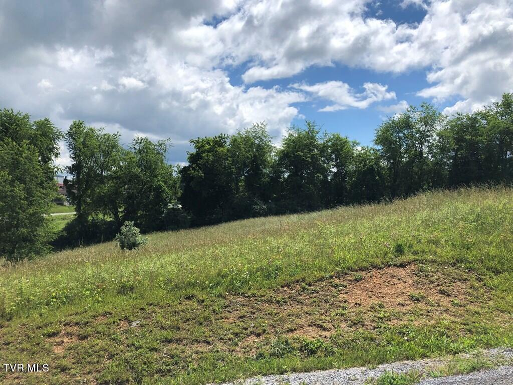 Tbd Village Loop, Abingdon, VA 24210