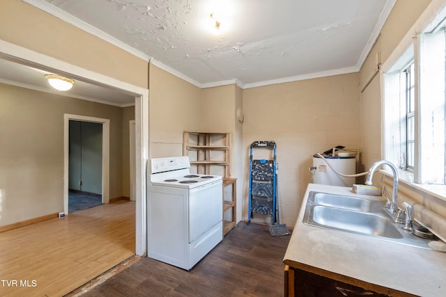 kitchen with sink, wood-type flooring, electric stove, and a healthy amount of sunlight