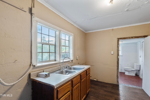 kitchen with dark wood-type flooring, sink, and ornamental molding