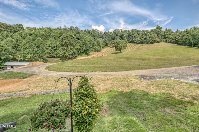 view of home's community featuring a yard