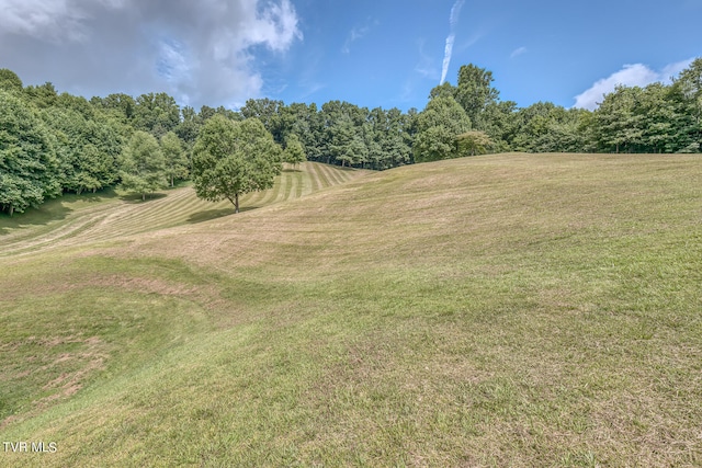 view of local wilderness