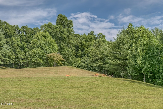 view of home's community featuring a lawn