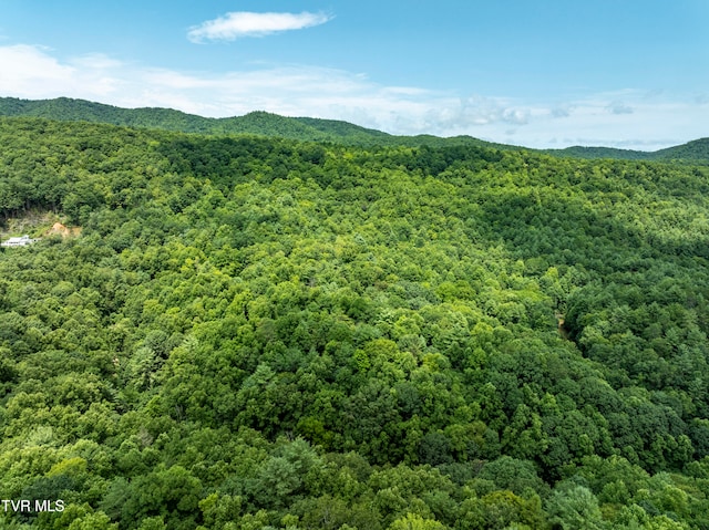 Listing photo 2 for Tbd Gate Hollow Private Lane, Mountain City TN 37683