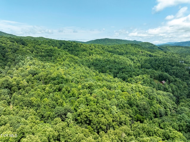 Listing photo 3 for Tbd Gate Hollow Private Lane, Mountain City TN 37683