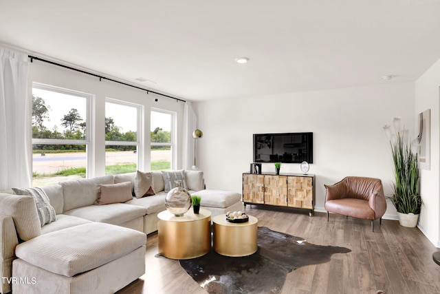 living room featuring hardwood / wood-style floors