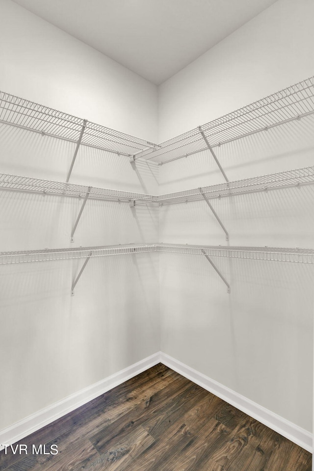 spacious closet with hardwood / wood-style flooring