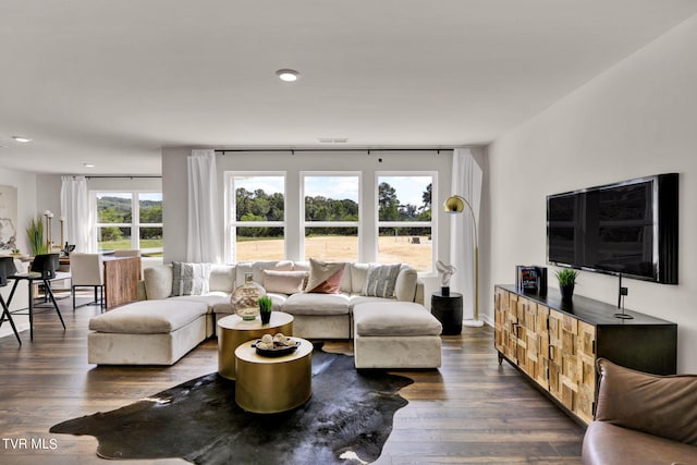 living room with dark hardwood / wood-style floors