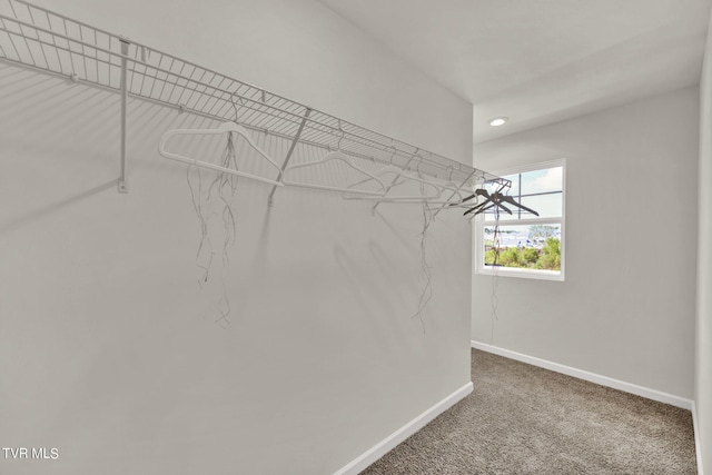 walk in closet featuring carpet