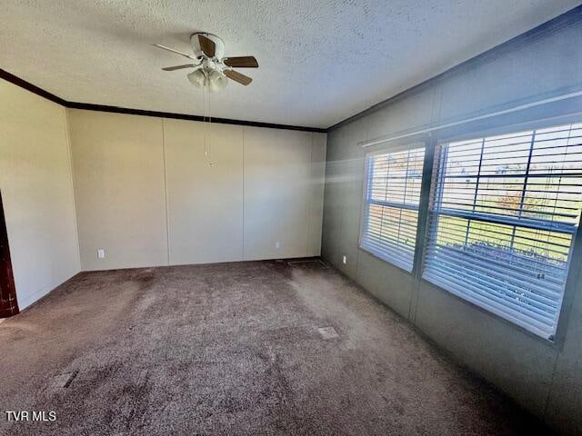 spare room with carpet flooring, ceiling fan, crown molding, and a textured ceiling