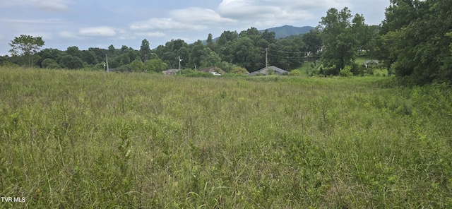 1 Redbird Rdg, Johnson City, TN 37604 - photo 5