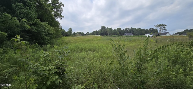 1 Redbird Rdg, Johnson City, TN 37604 - photo 6