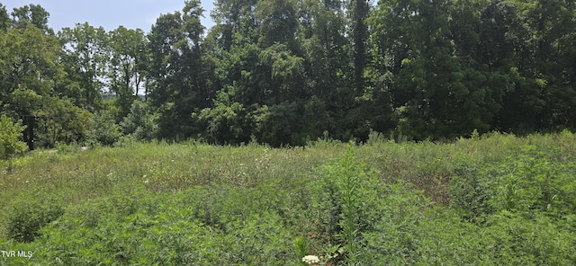 1 Redbird Rdg, Johnson City, TN 37604 - photo 9