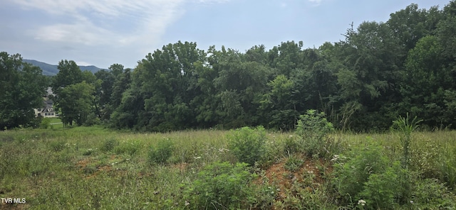 1 Redbird Rdg, Johnson City, TN 37604 - photo 10