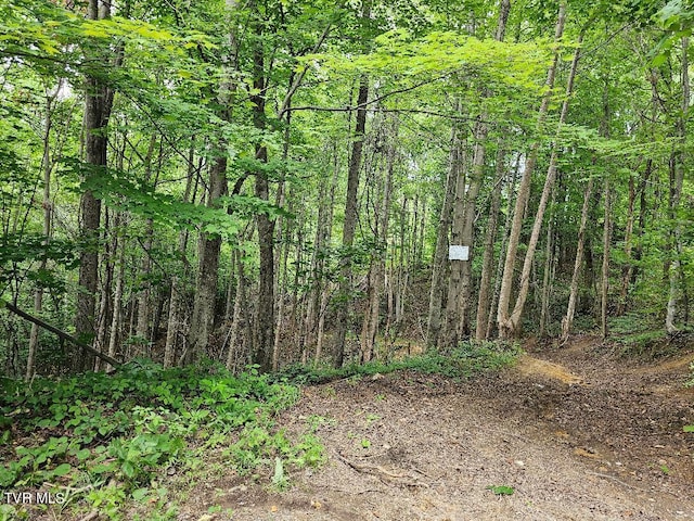 TBD Rachels Chapel Rd, Coeburn, VA 24230