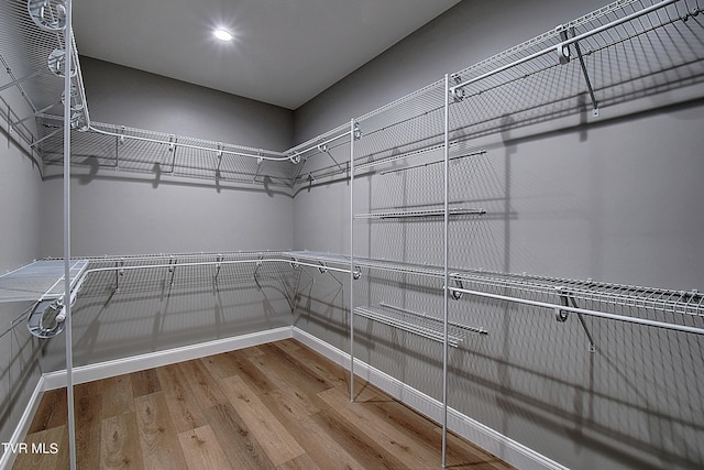 walk in closet featuring hardwood / wood-style flooring