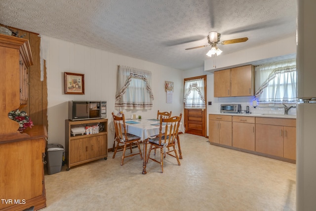 interior space with ceiling fan, a textured ceiling, sink, and plenty of natural light