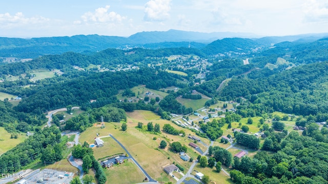 birds eye view of property with a mountain view