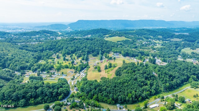 bird's eye view with a mountain view