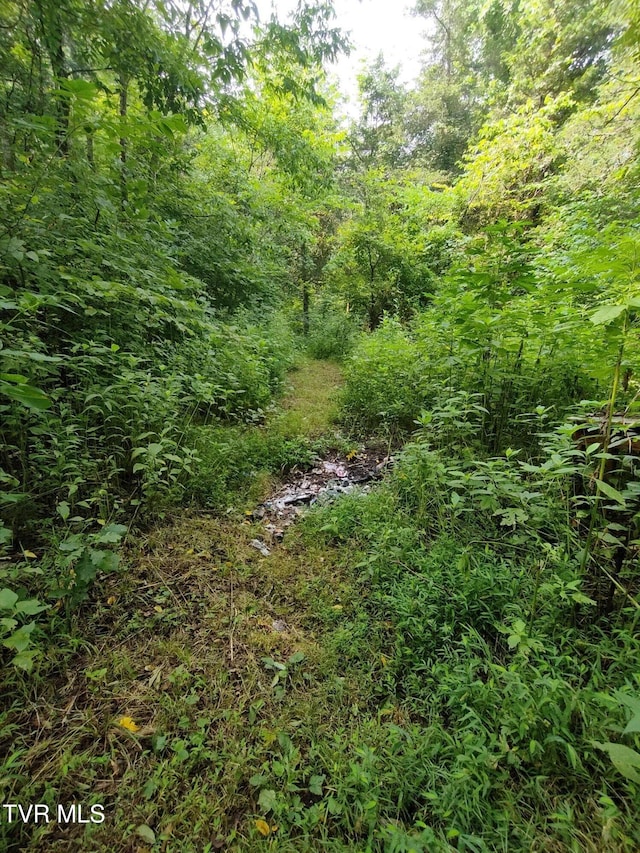 view of local wilderness with a forest view