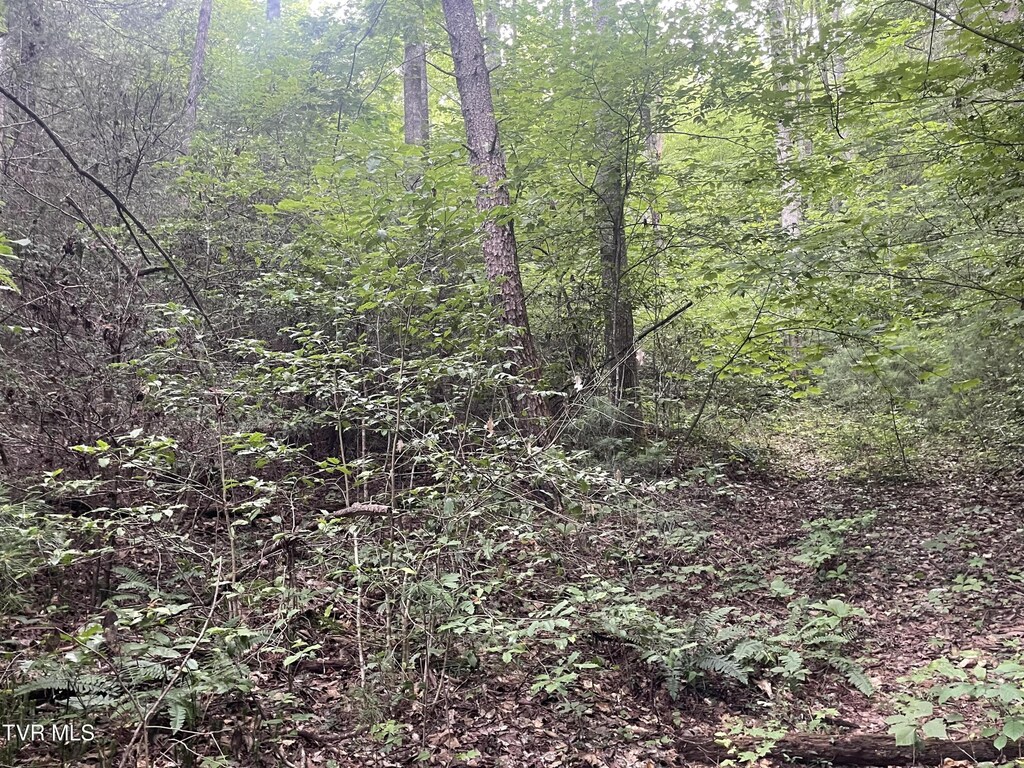 172 Carl Taylor Rd, Elizabethton, TN 37643