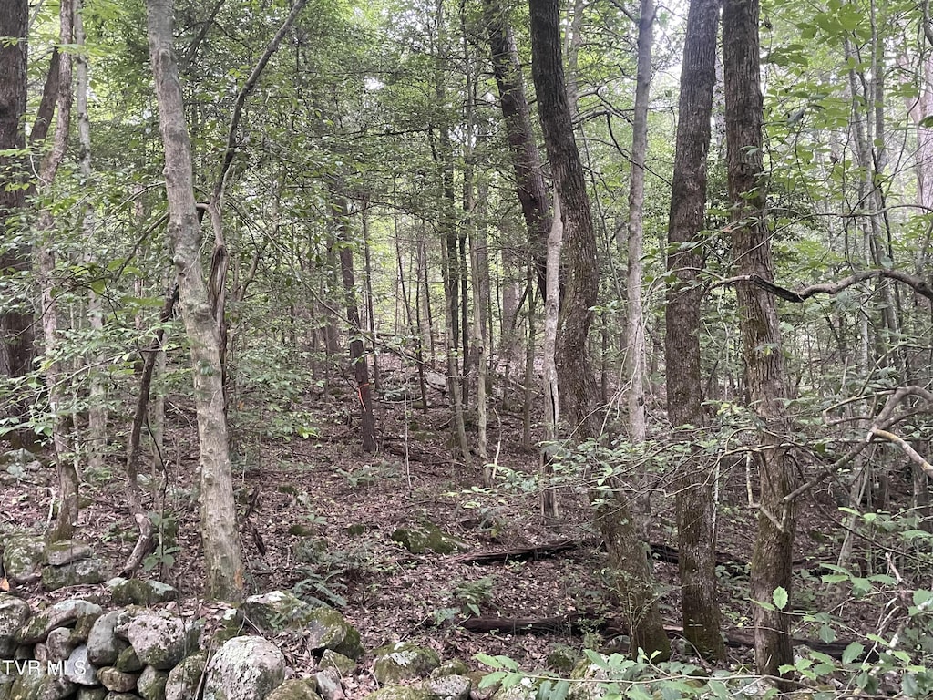 172 Carl Taylor Rd, Elizabethton, TN 37643